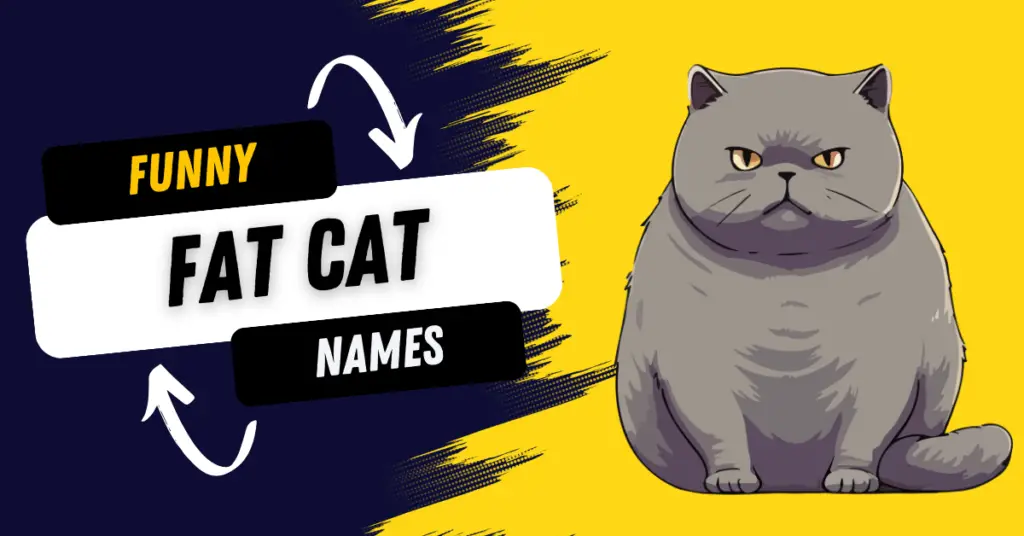 Fat Cat Names for Your Giant Kitty