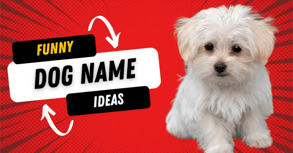 funny dog name ideas