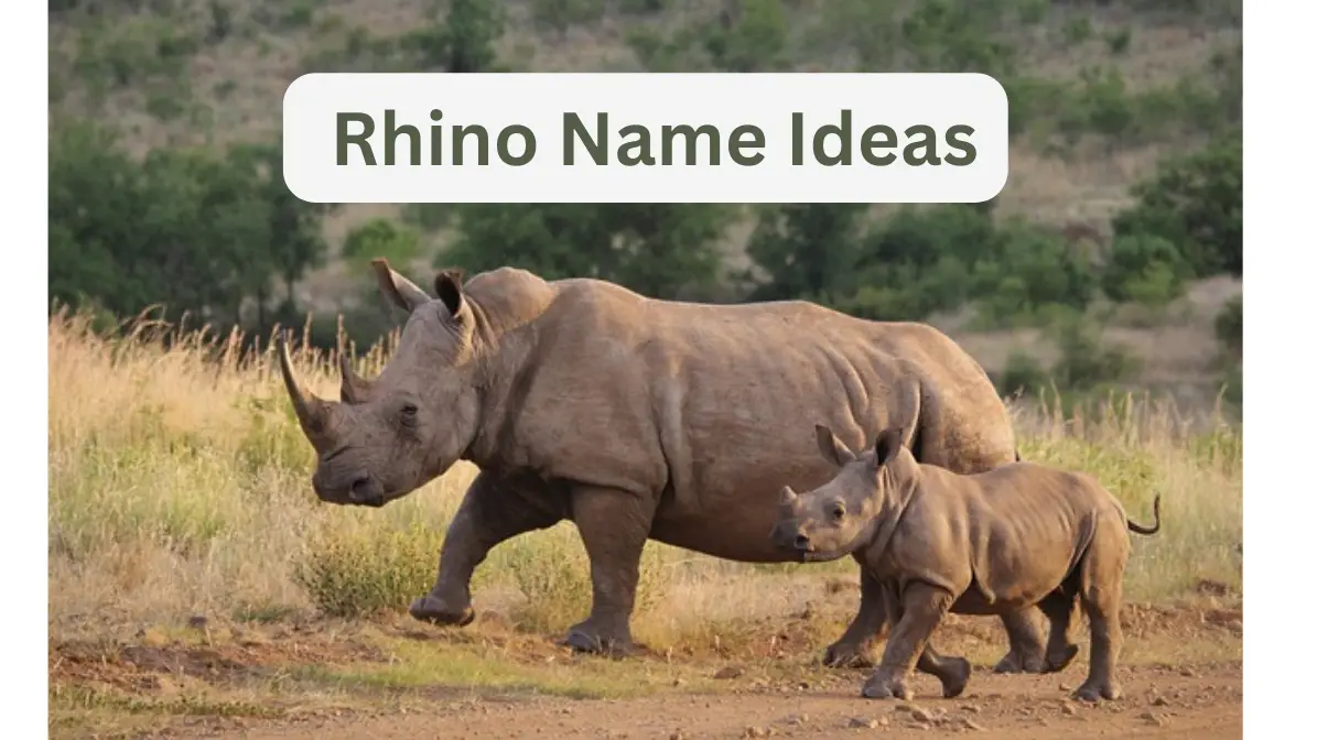 rhino names