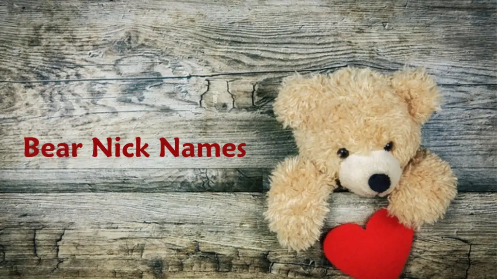 bear nicknames