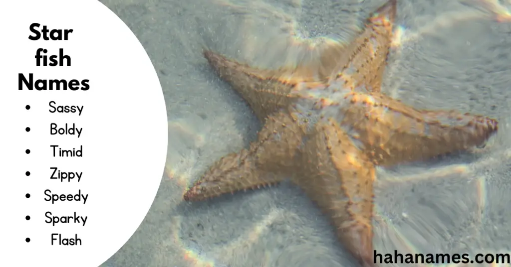 starfish names