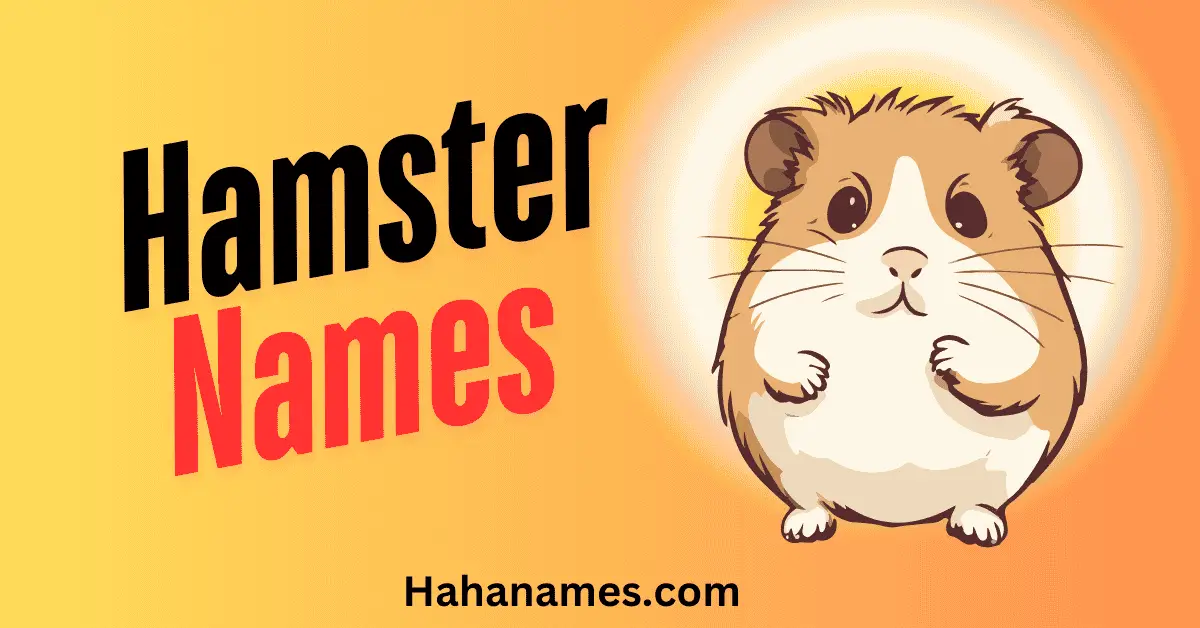 hamster names