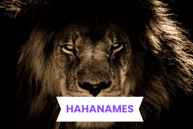 LION NAMES