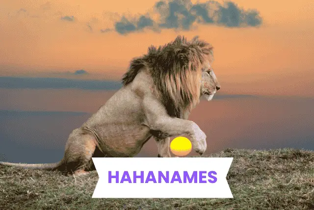 LION NAMES