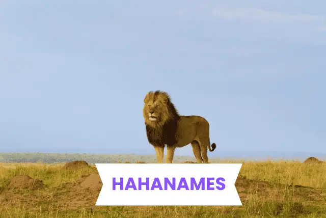 LION NAMES