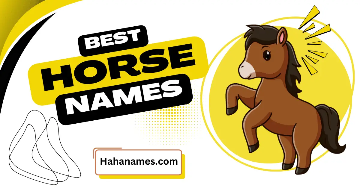 horse names