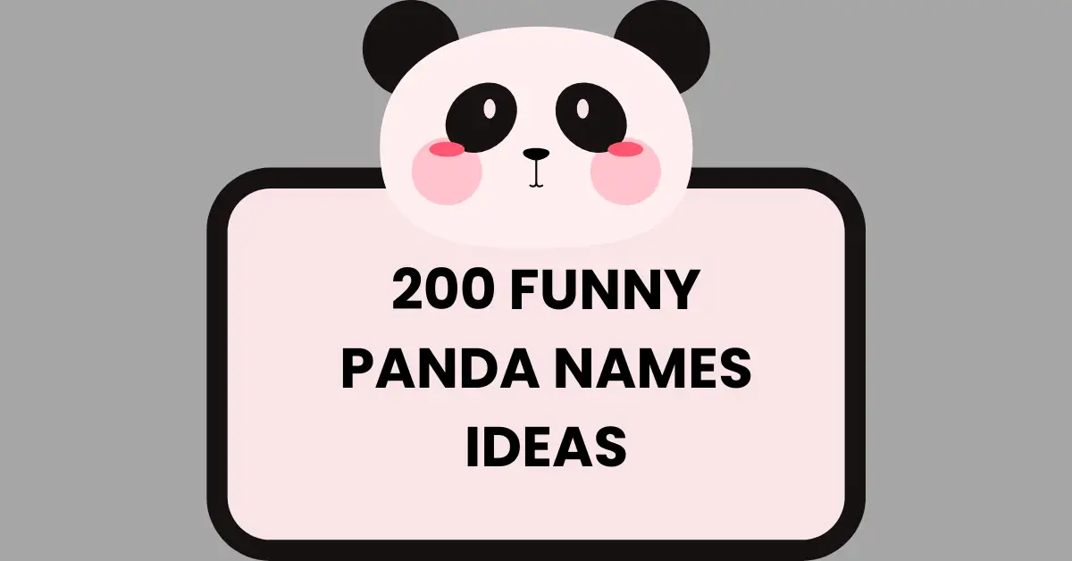 /panda-names/