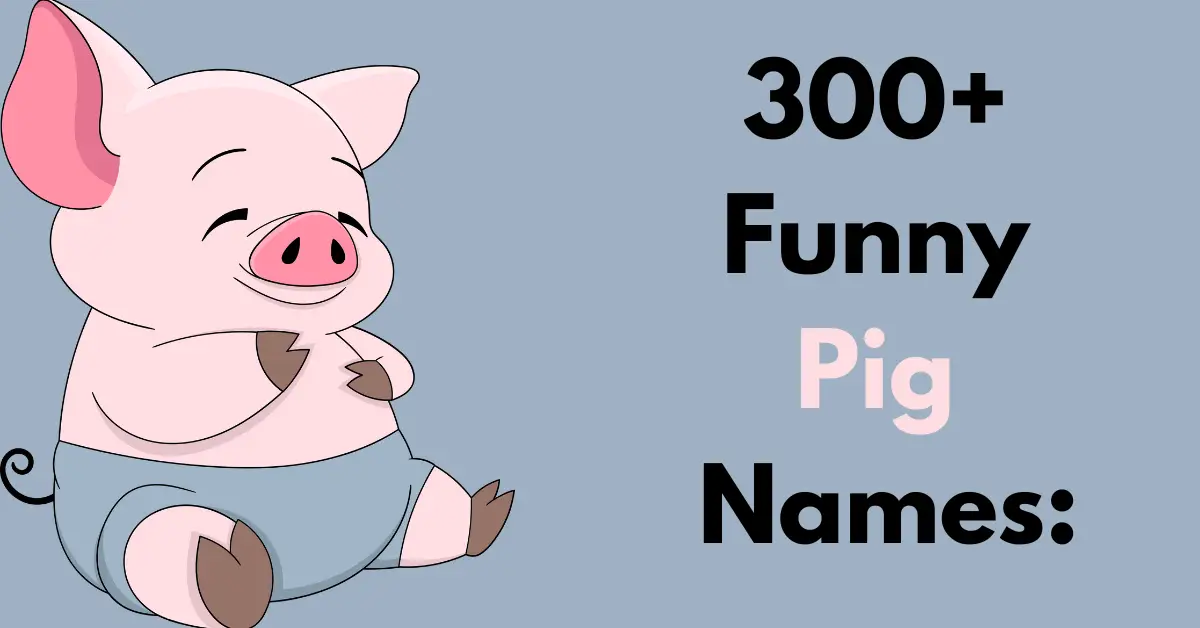 Funny Pig Names