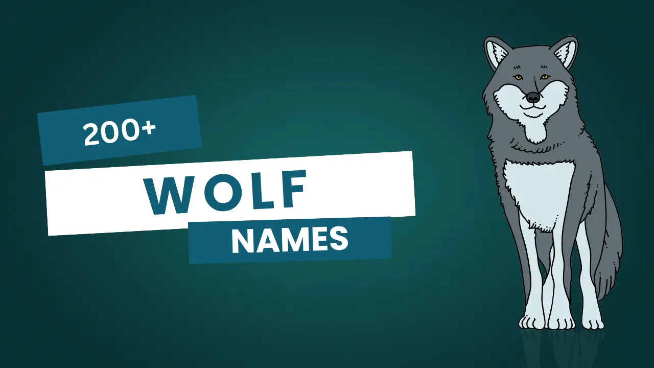 wolf names