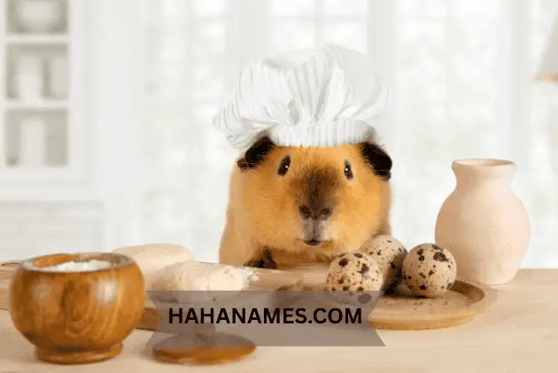 funny names for pet pigs